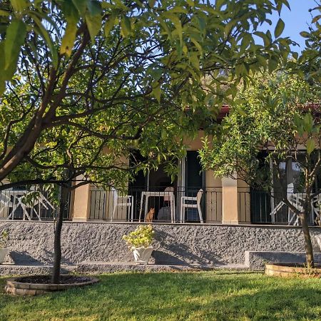 Villa Eleni - Studios Liapádesz Kültér fotó