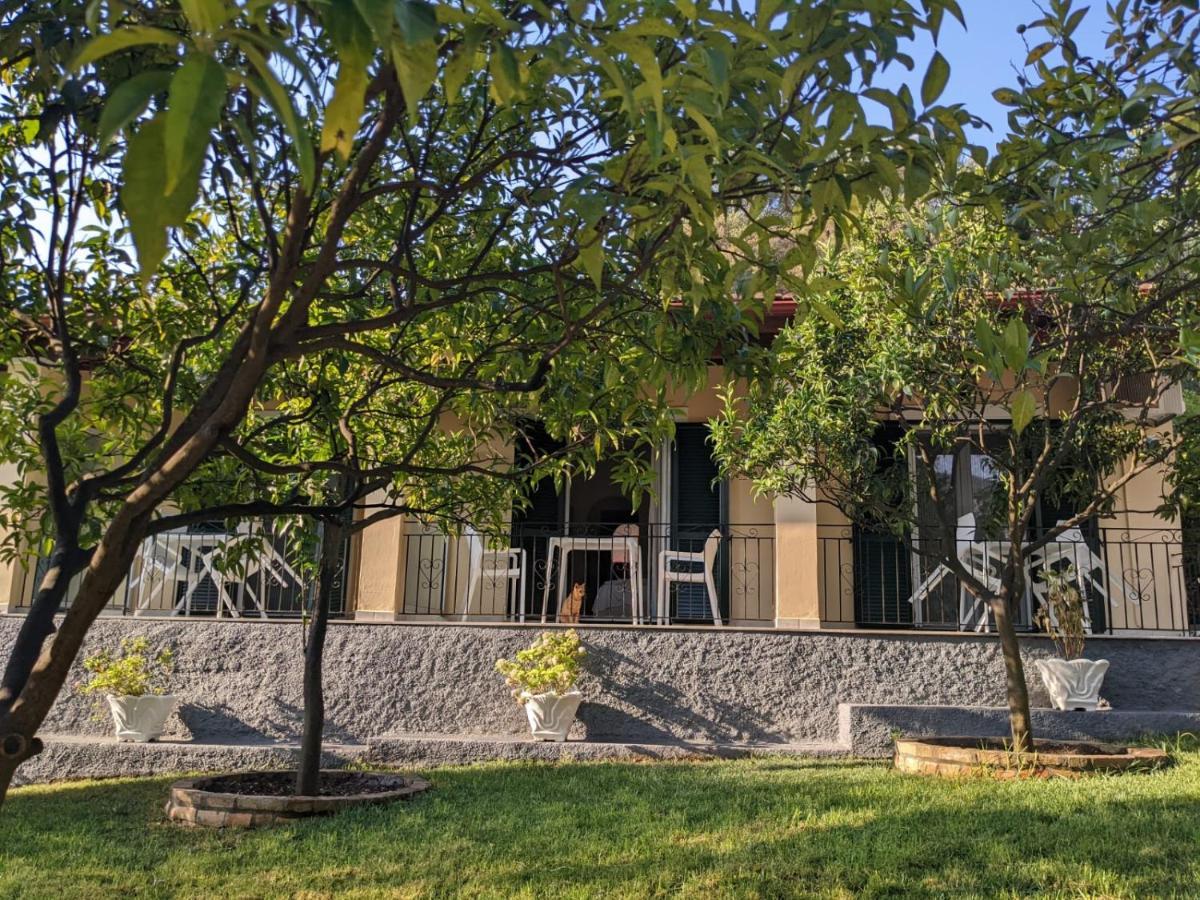 Villa Eleni - Studios Liapádesz Kültér fotó