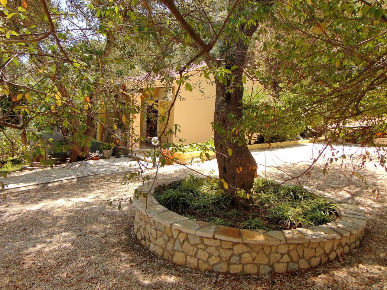 Villa Eleni - Studios Liapádesz Kültér fotó